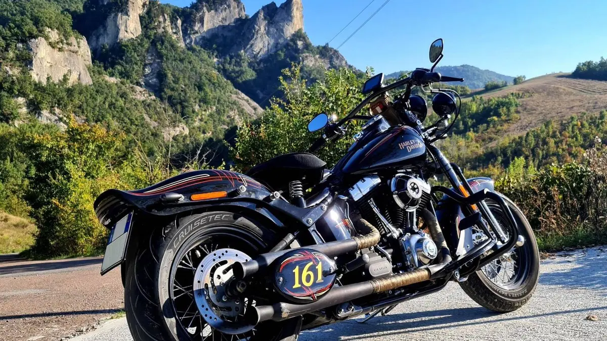 Harley-Davidson 1584 Cross Bones (2008 - 11) - FLSTSB  (8)