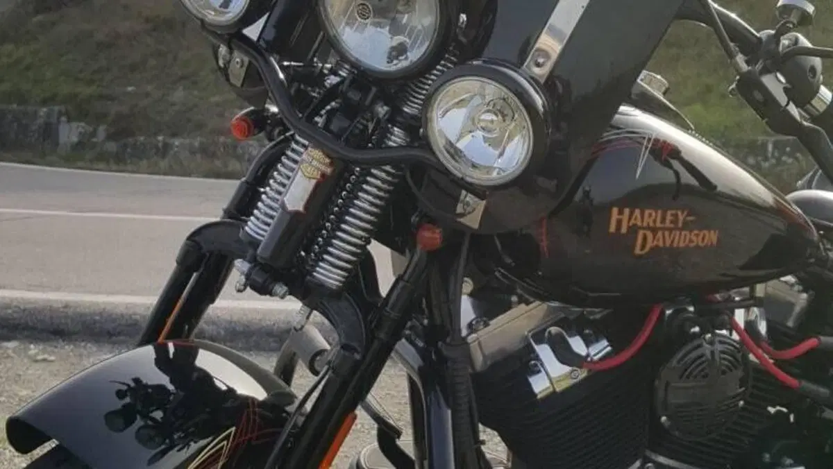 Harley-Davidson 1584 Cross Bones (2008 - 11) - FLSTSB  (10)