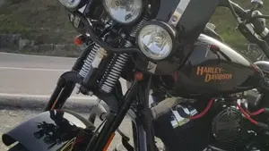 Harley-Davidson 1584 Cross Bones (2008 - 11) - FLSTSB  (10)
