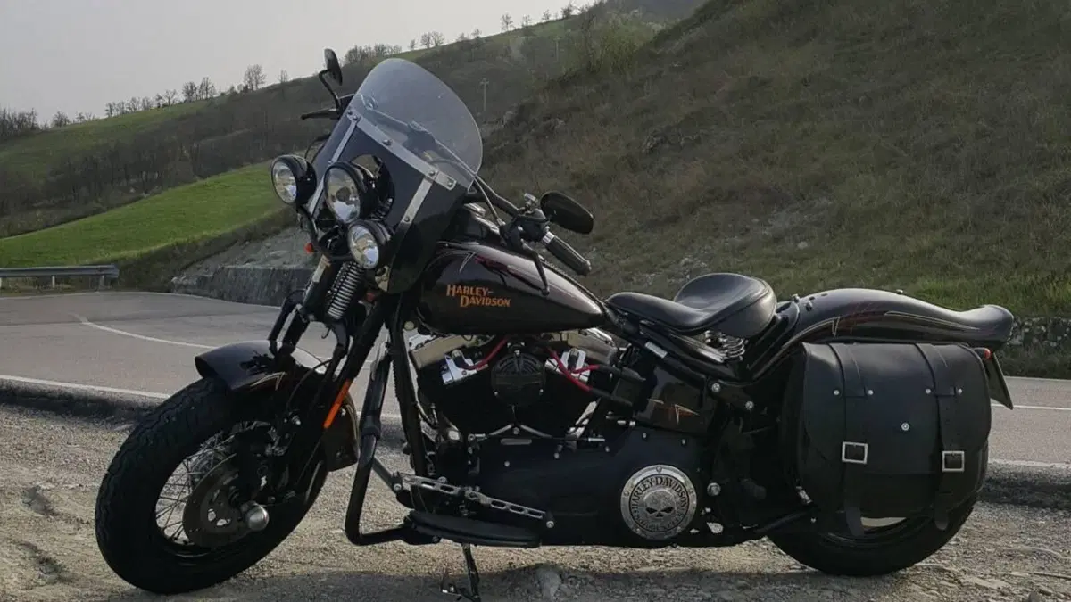 Harley-Davidson 1584 Cross Bones (2008 - 11) - FLSTSB  (11)