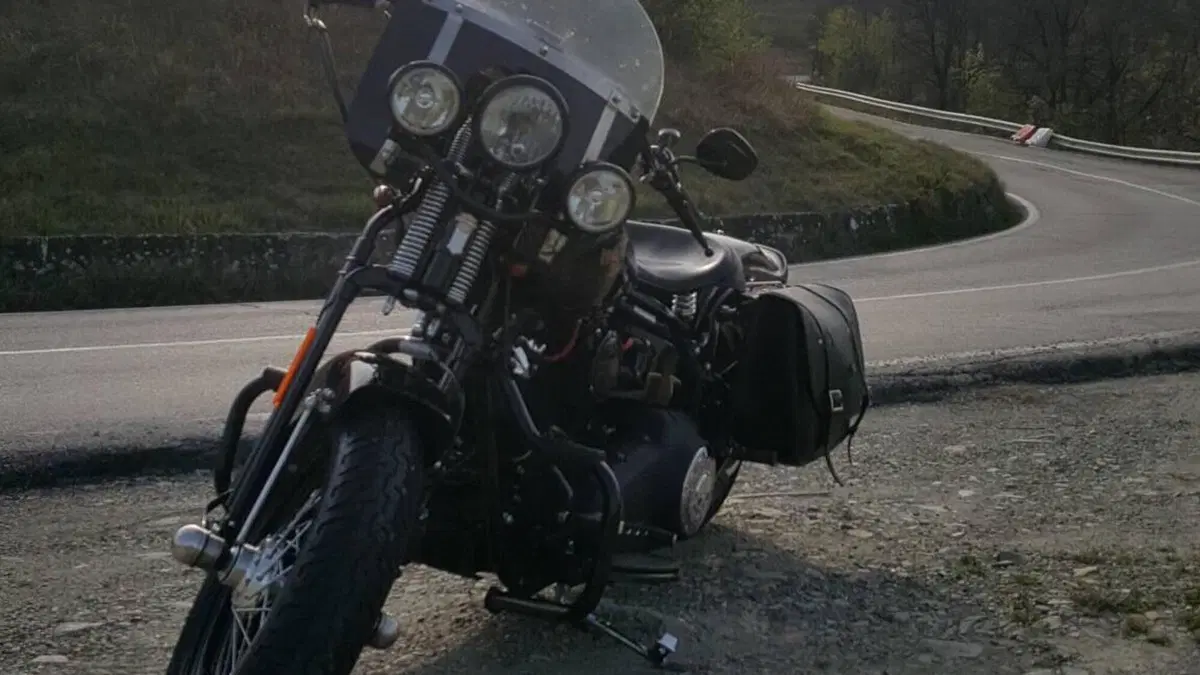 Harley-Davidson 1584 Cross Bones (2008 - 11) - FLSTSB  (12)