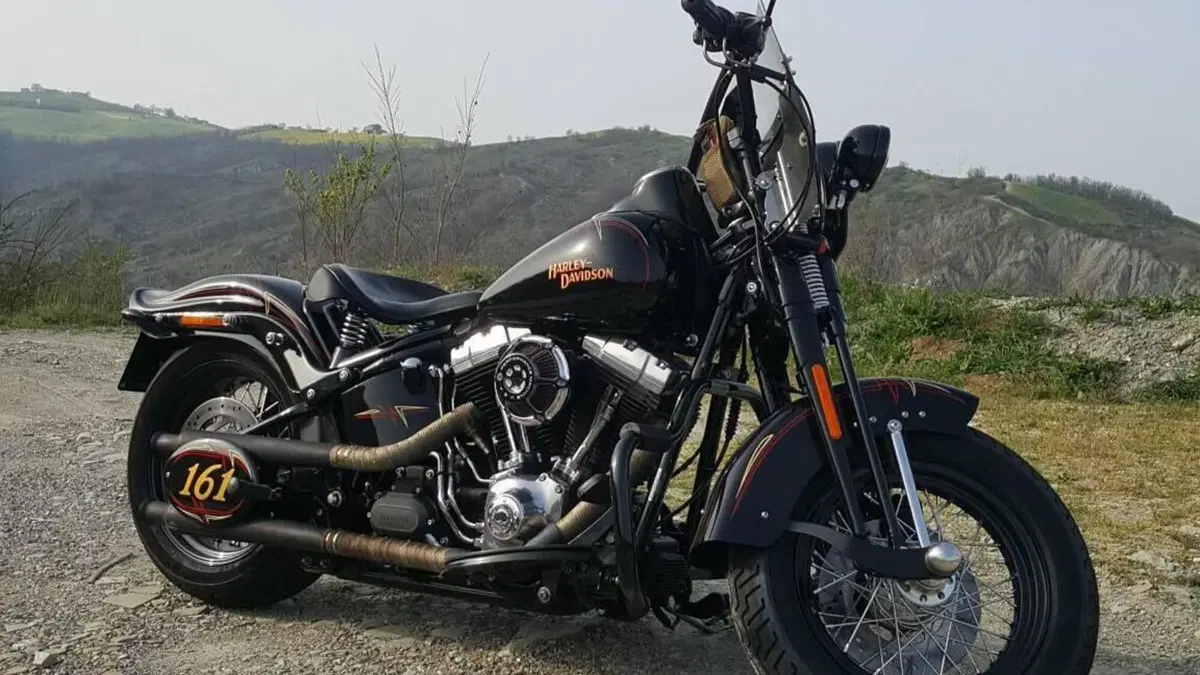 Harley-Davidson 1584 Cross Bones (2008 - 11) - FLSTSB  (13)