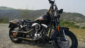 Harley-Davidson 1584 Cross Bones (2008 - 11) - FLSTSB  (13)