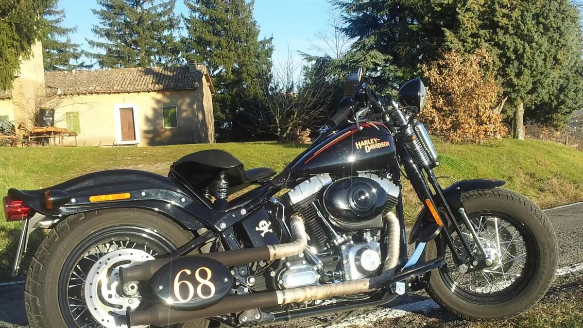 Harley-Davidson 1584 Cross Bones (2008 - 11) - FLSTSB  (14)