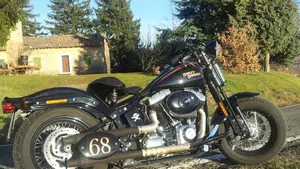 Harley-Davidson 1584 Cross Bones (2008 - 11) - FLSTSB  (14)