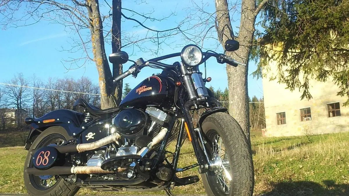 Harley-Davidson 1584 Cross Bones (2008 - 11) - FLSTSB  (15)