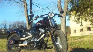 Harley-Davidson 1584 Cross Bones (2008 - 11) - FLSTSB  (15)
