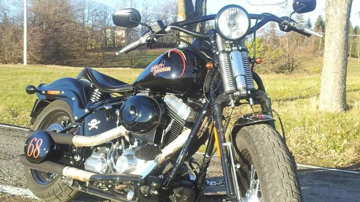 Harley-Davidson 1584 Cross Bones (2008 - 11) - FLSTSB  (16)