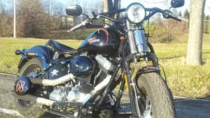 Harley-Davidson 1584 Cross Bones (2008 - 11) - FLSTSB  (16)
