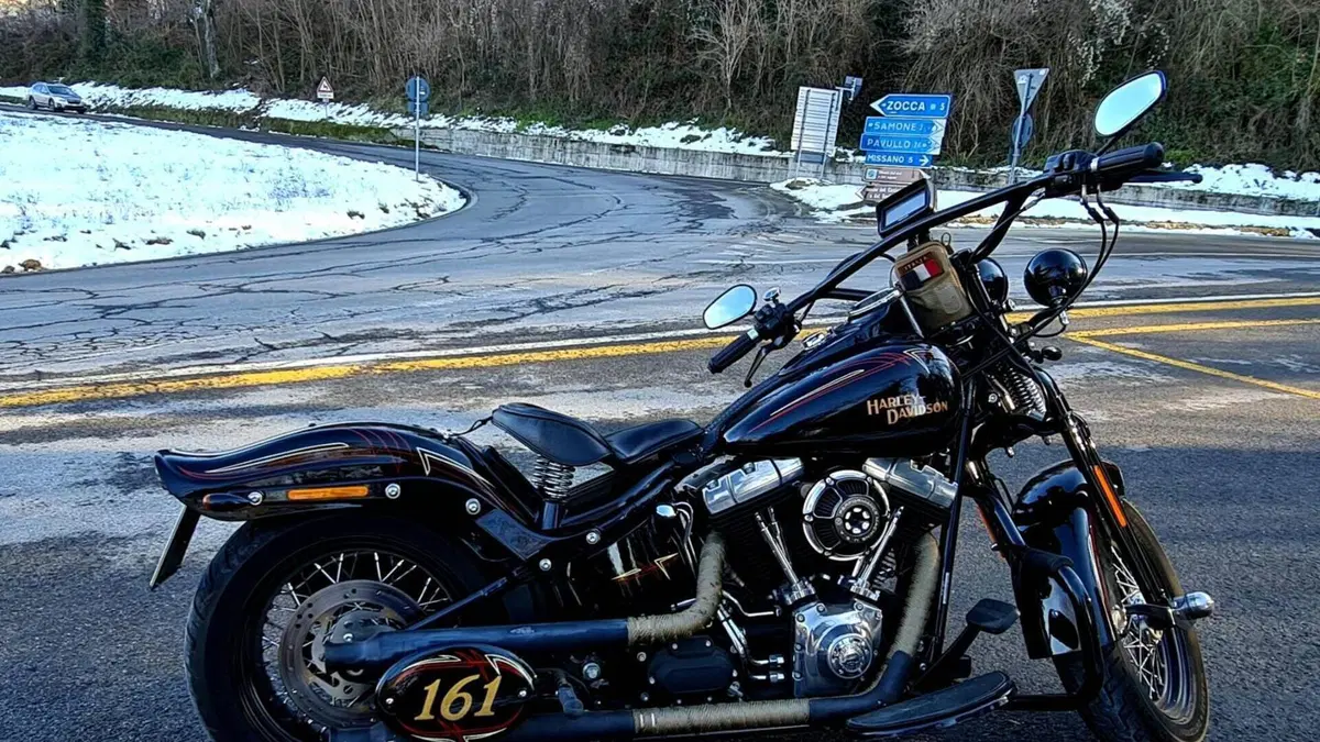 Harley-Davidson 1584 Cross Bones (2008 - 11) - FLSTSB  (17)