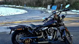 Harley-Davidson 1584 Cross Bones (2008 - 11) - FLSTSB  (17)