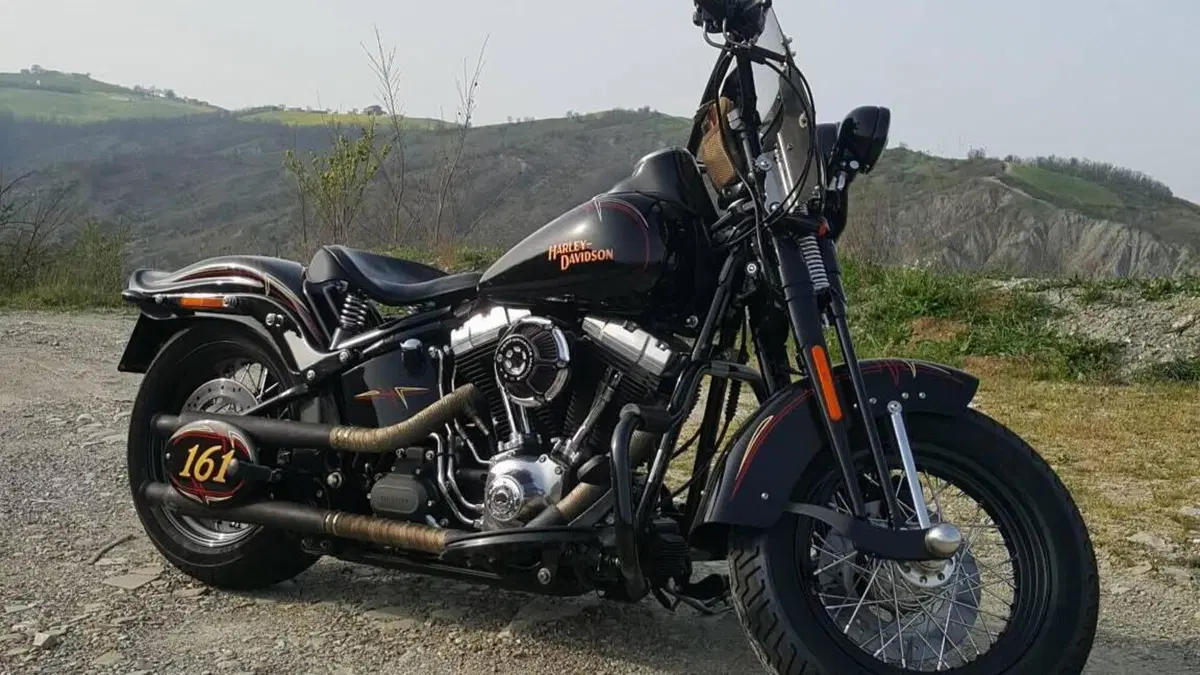 Harley-Davidson 1584 Cross Bones (2008 - 11) - FLSTSB  (19)