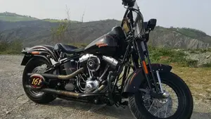 Harley-Davidson 1584 Cross Bones (2008 - 11) - FLSTSB  (19)