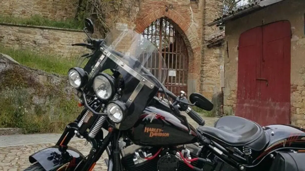 Harley-Davidson 1584 Cross Bones (2008 - 11) - FLSTSB  (20)