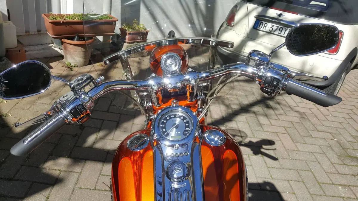 Harley-Davidson 1800 Springer (2009 - 12) - FXSTSSE  (5)
