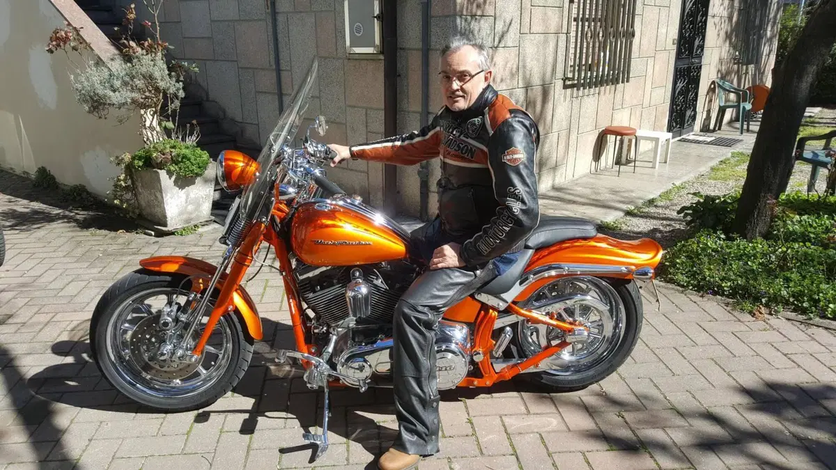 Harley-Davidson 1800 Springer (2009 - 12) - FXSTSSE  (10)