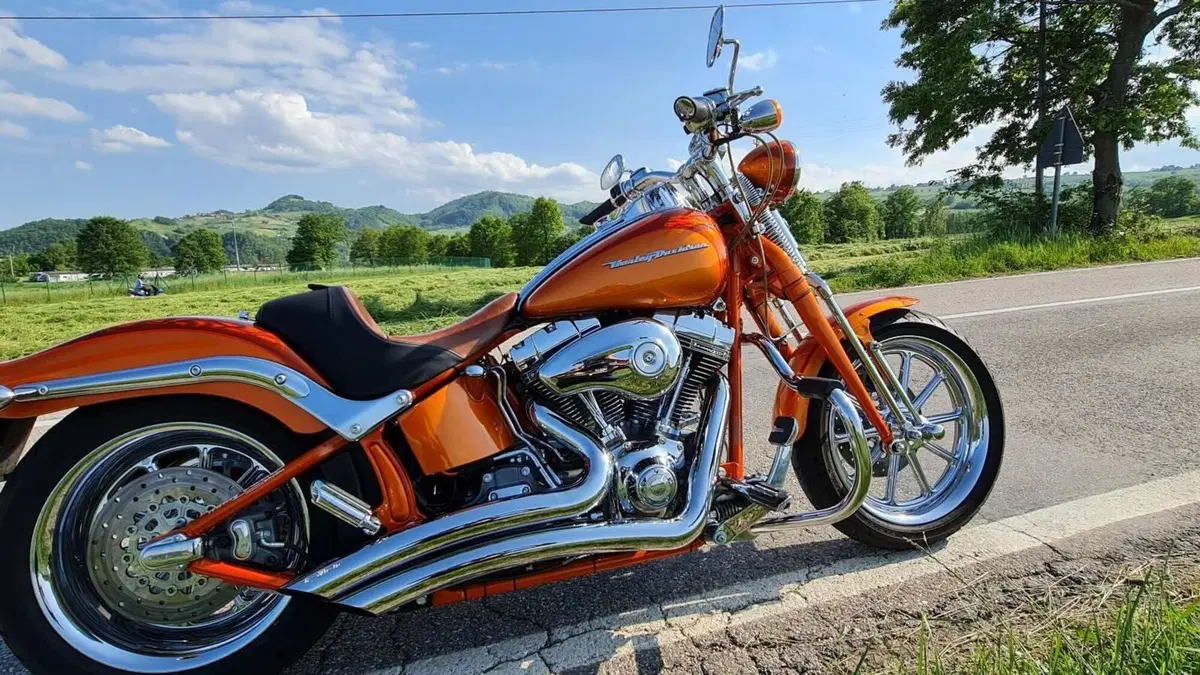 Harley-Davidson 1800 Springer (2009 - 12) - FXSTSSE  (12)