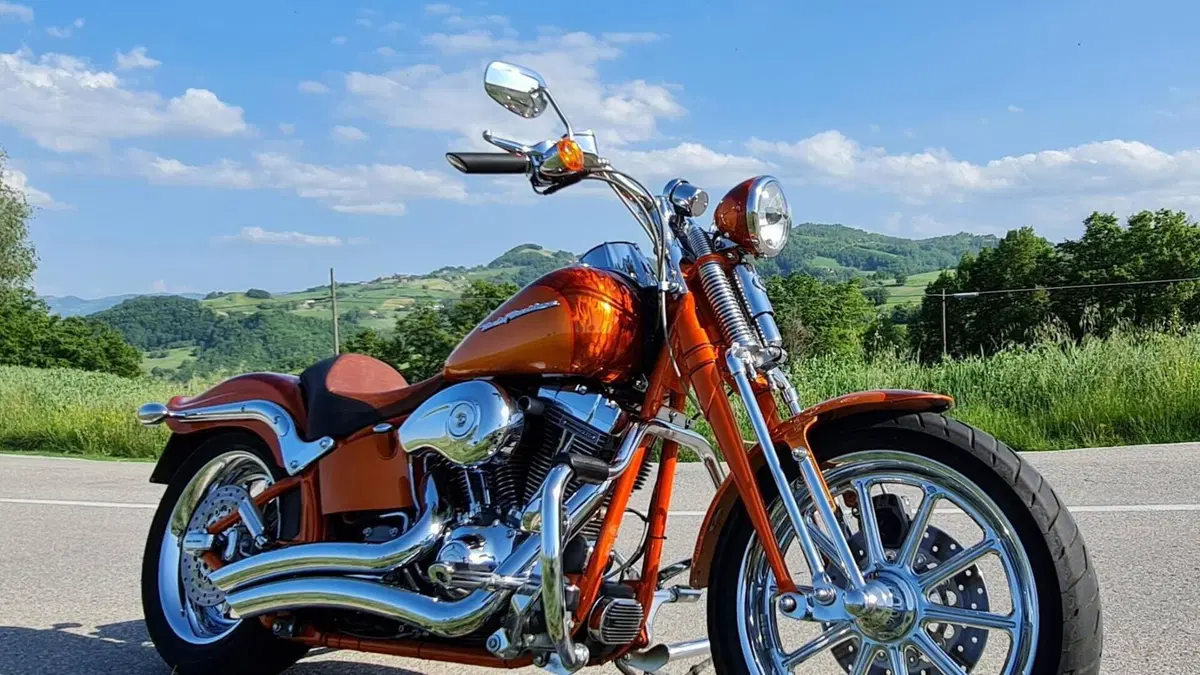 Harley-Davidson 1800 Springer (2009 - 12) - FXSTSSE  (14)