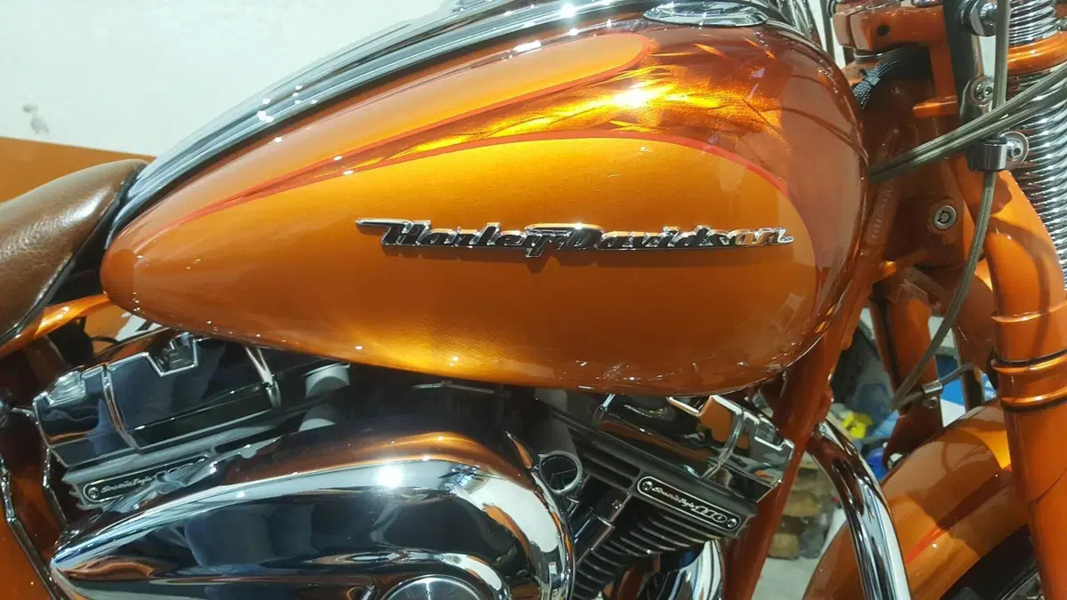 Harley-Davidson 1800 Springer (2009 - 12) - FXSTSSE  (16)