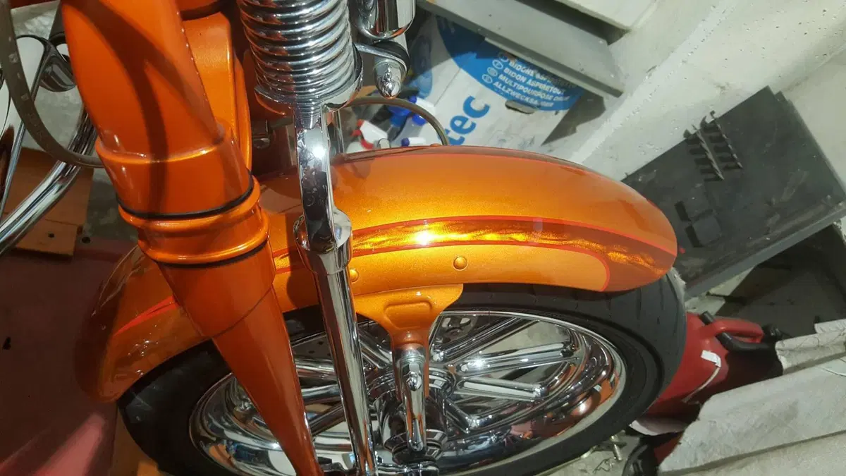 Harley-Davidson 1800 Springer (2009 - 12) - FXSTSSE  (17)