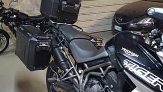 triumph tiger 800 xcx (2018 - 20)