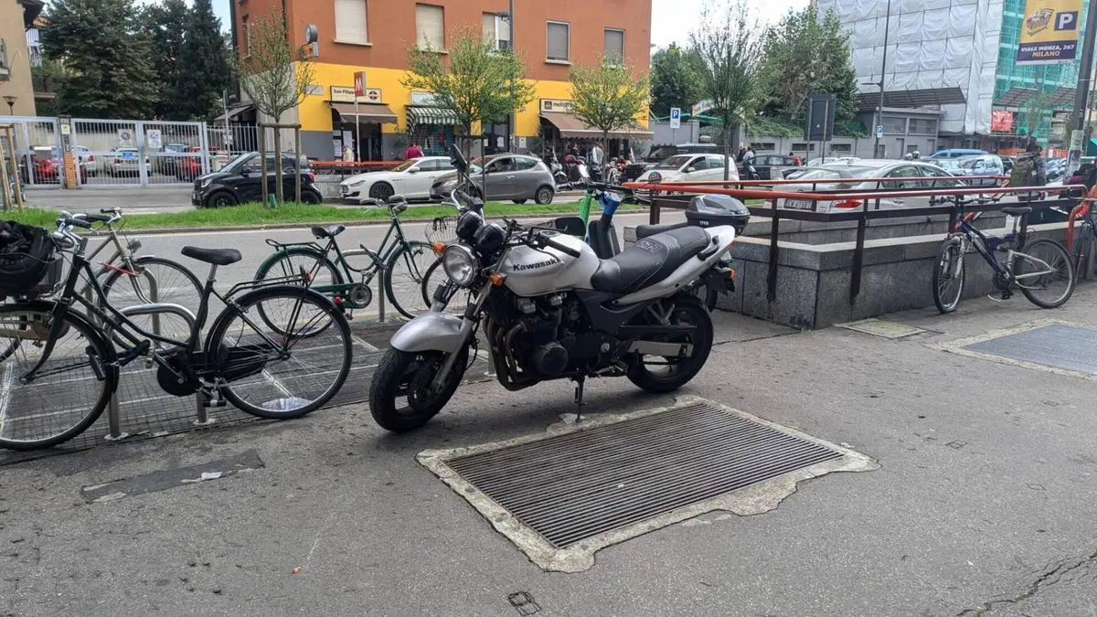 Kawasaki ZR-7 (2001 - 04)  (2)
