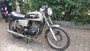 Morini  