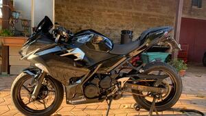 Kawasaki Ninja 400 (2018 - 20) 