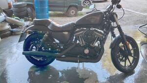 Harley-Davidson 883 Iron (2014 - 16) - XL 883N 
