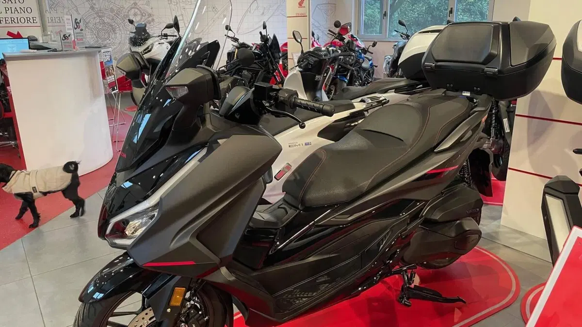 Honda Forza 350 (2025 - 26) 