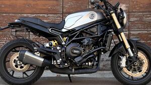Benelli Leoncino 800 (2022 - 25) 