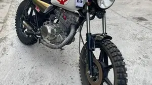 Yamaha SR 250 (1985 - 96)  (3)