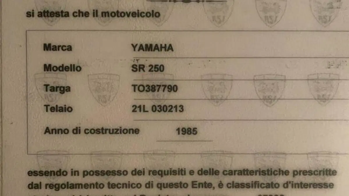 Yamaha SR 250 (1985 - 96)  (10)