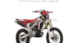 Fantic Motor XEF 310 (2025) 