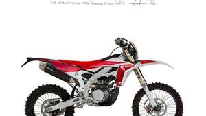 Fantic Motor XEF 310 (2024) 