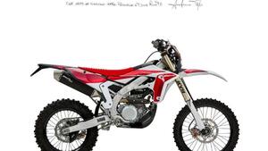 Fantic Motor XEF 450 (2024) 