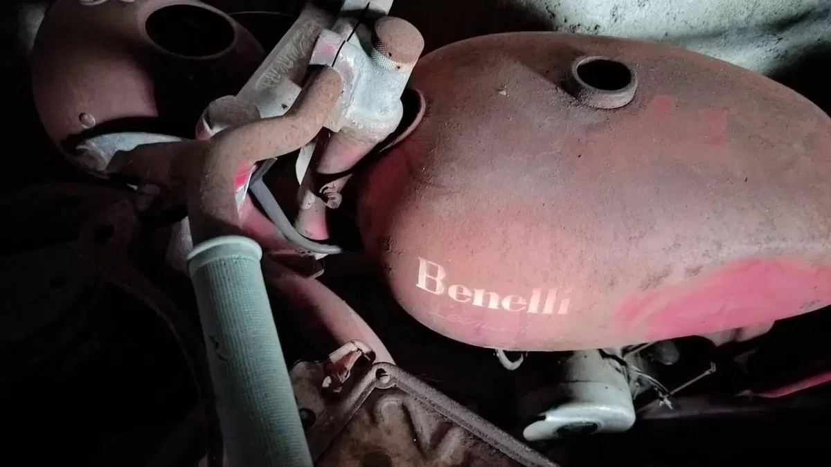 Benelli   (2)