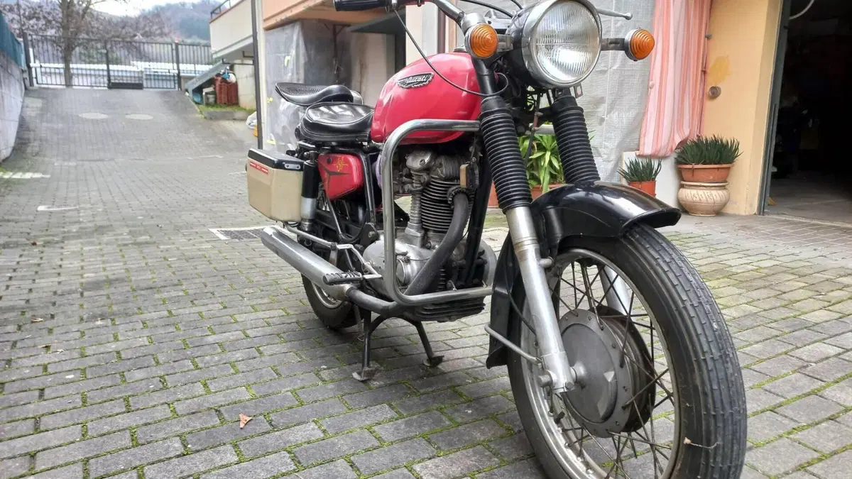 Ducati   (3)