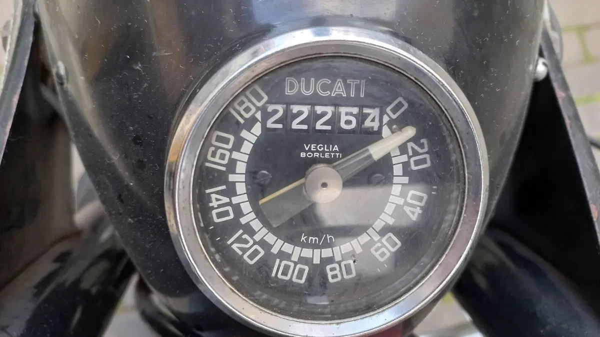 Ducati   (7)