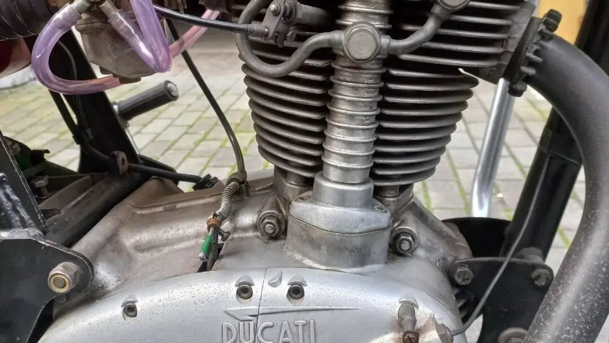 Ducati   (8)