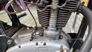 Ducati   (8)