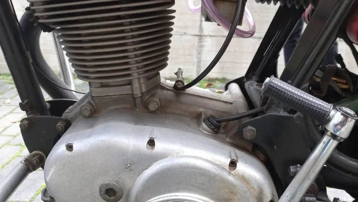Ducati   (9)