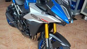 Suzuki GSX-S1000GX (2024 - 25) 