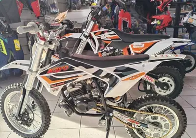  Altre moto o tipologie Minimoto - Annuncio 9513621