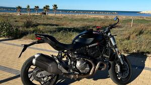 Ducati Monster 821 (2018 - 20) 