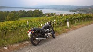 Triumph Bonneville 800 (2002 - 07) 
