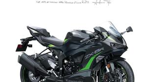 Kawasaki Ninja 636 ZX-6R (2024 - 25) 