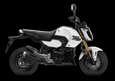 Honda MSX 125 Grom (2021 - 26) - Annuncio 9591545