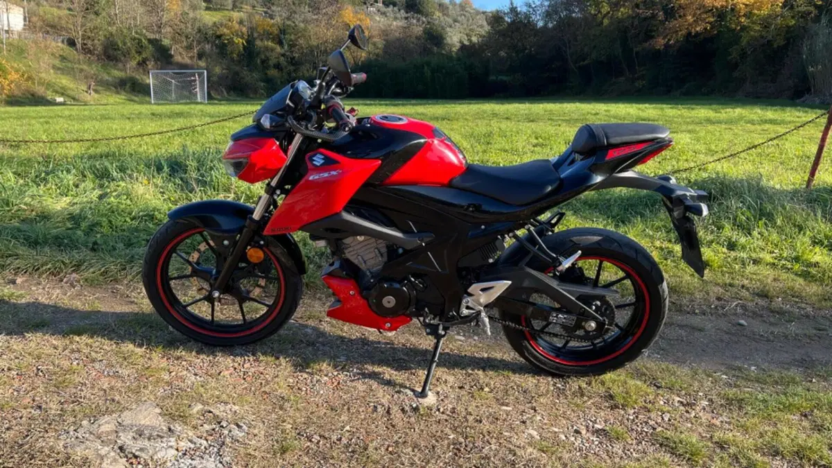 Suzuki GSX-S125 (2017 - 20)  (2)