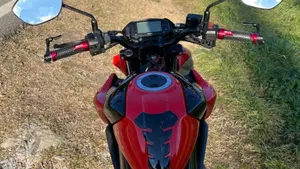 Suzuki GSX-S125 (2017 - 20)  (7)